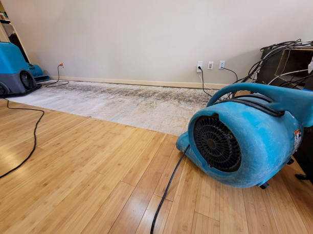 Professional Basement Flood Cleanup technician working in Sparta, WI